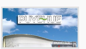 Acqua minerale naturale Puyehue